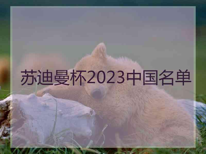 苏迪曼杯2023中国名单