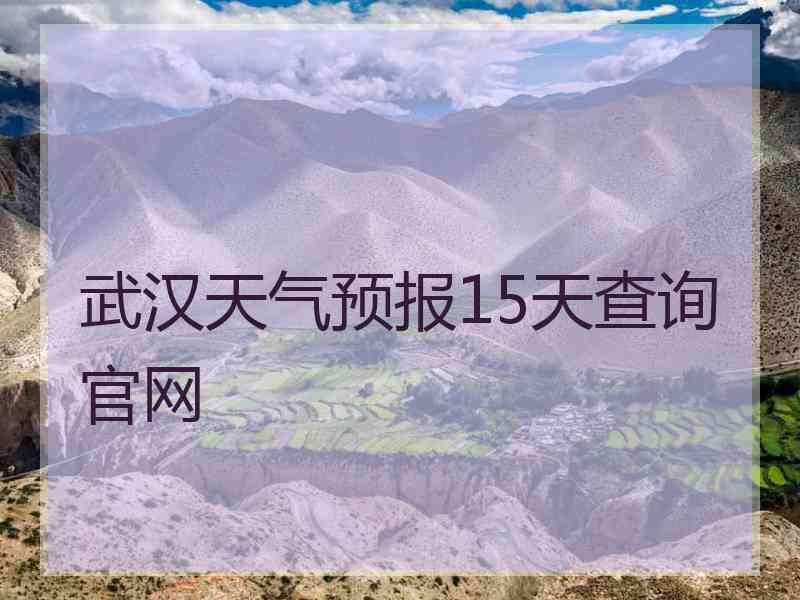 武汉天气预报15天查询官网