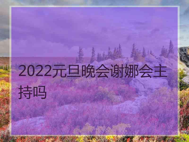 2022元旦晚会谢娜会主持吗