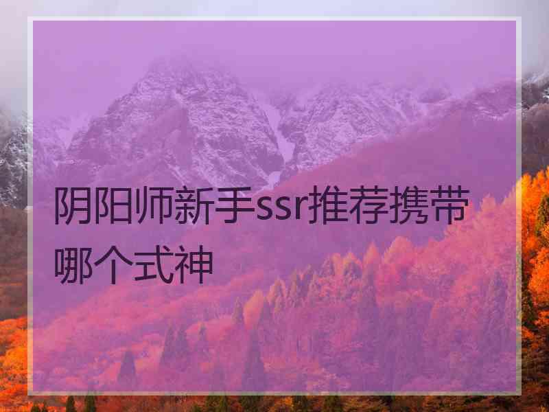 阴阳师新手ssr推荐携带哪个式神