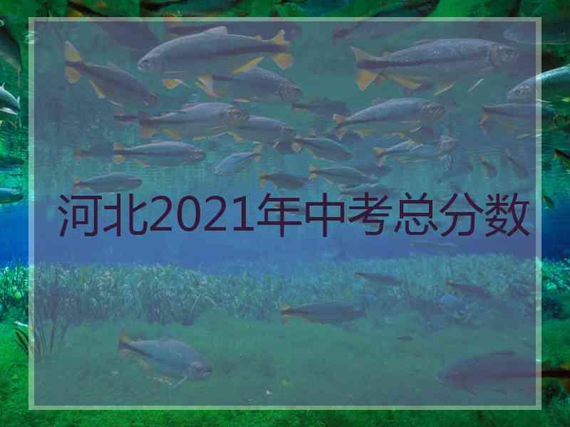 河北2021年中考总分数