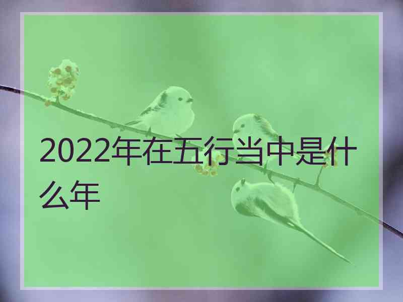 2022年在五行当中是什么年