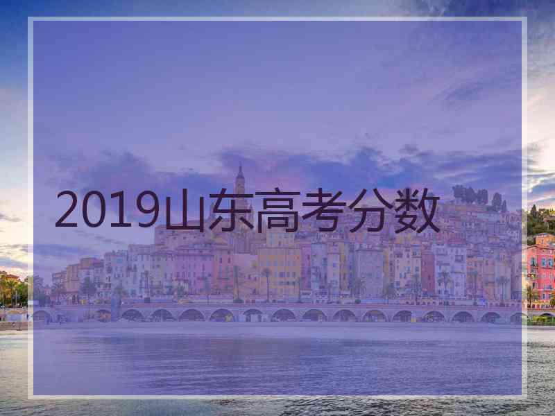 2019山东高考分数