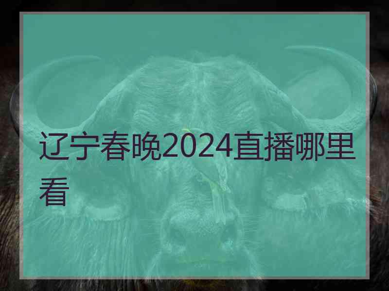 辽宁春晚2024直播哪里看