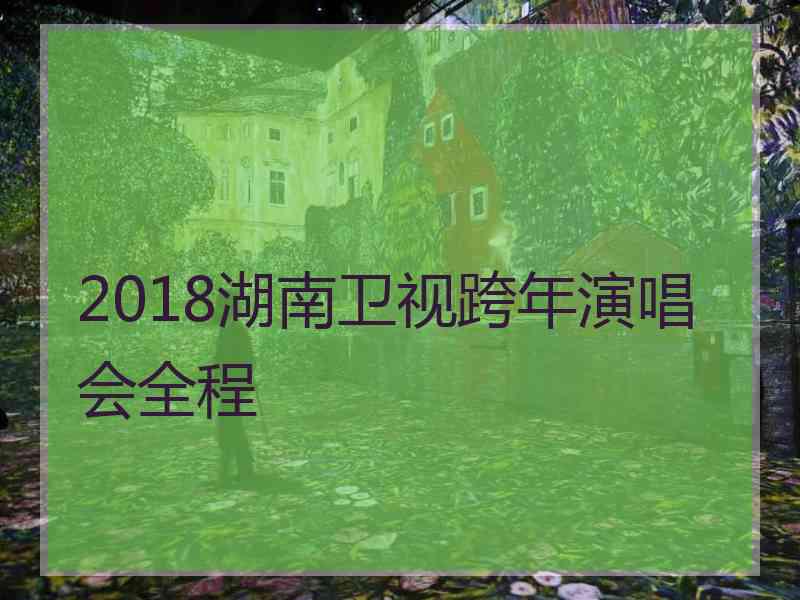 2018湖南卫视跨年演唱会全程