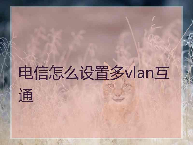 电信怎么设置多vlan互通