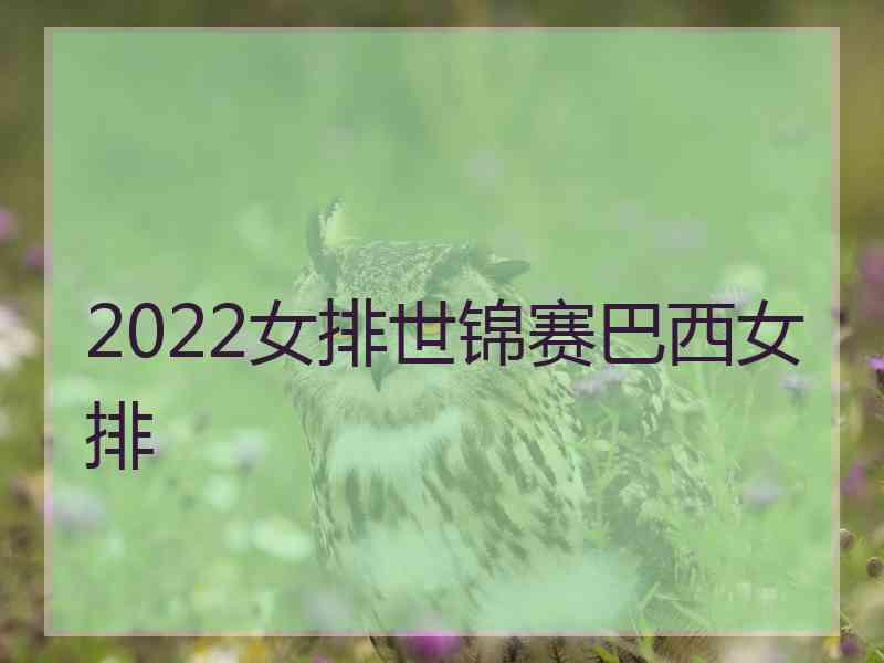 2022女排世锦赛巴西女排