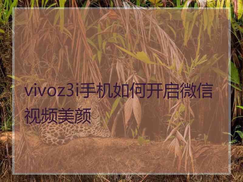 vivoz3i手机如何开启微信视频美颜