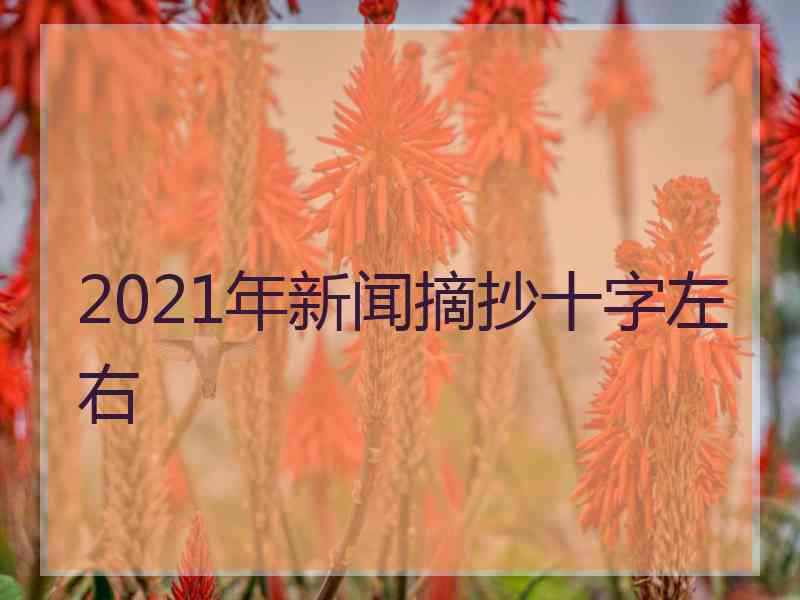 2021年新闻摘抄十字左右