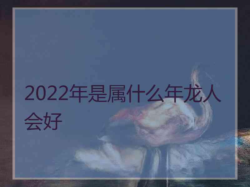 2022年是属什么年龙人会好