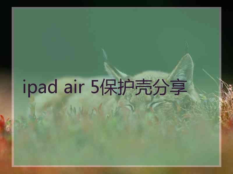 ipad air 5保护壳分享