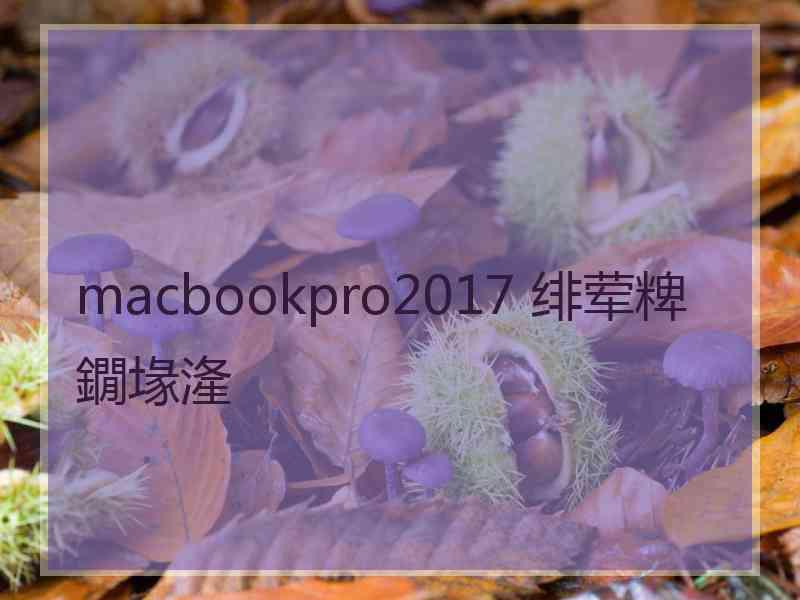 macbookpro2017 绯荤粺鐗堟湰