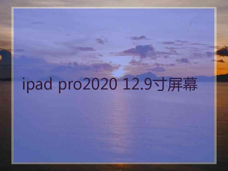 ipad pro2020 12.9寸屏幕