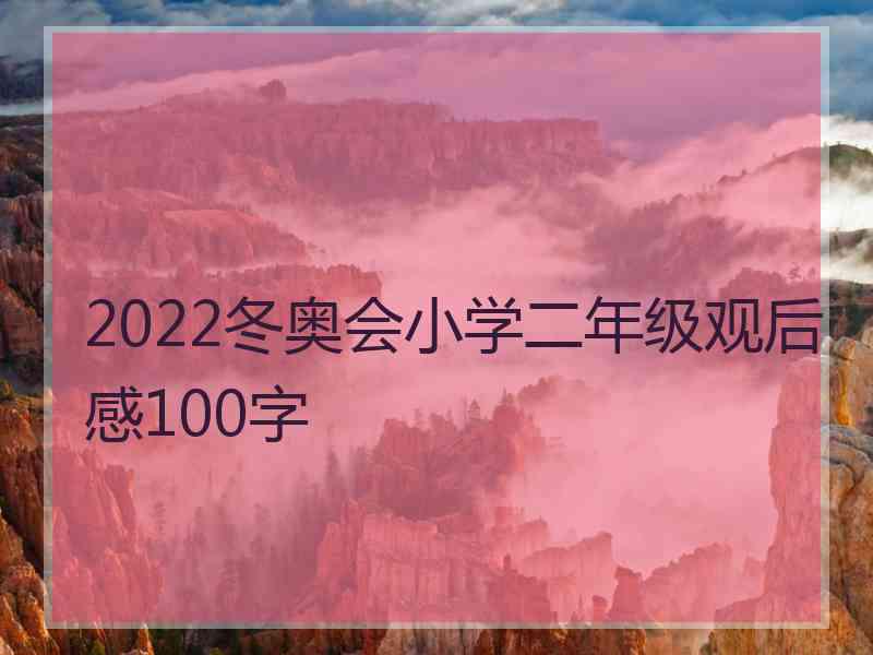 2022冬奥会小学二年级观后感100字