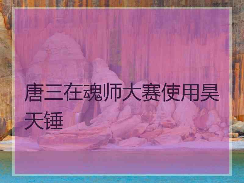 唐三在魂师大赛使用昊天锤