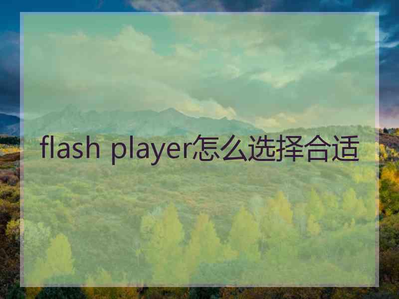 flash player怎么选择合适