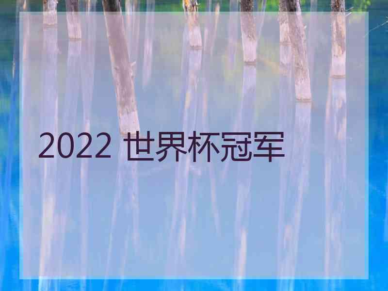 2022 世界杯冠军