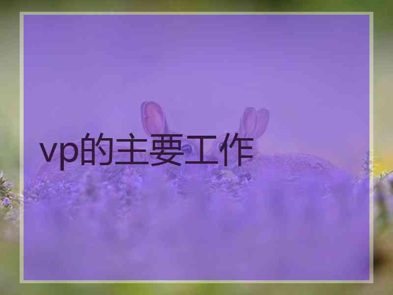 vp的主要工作