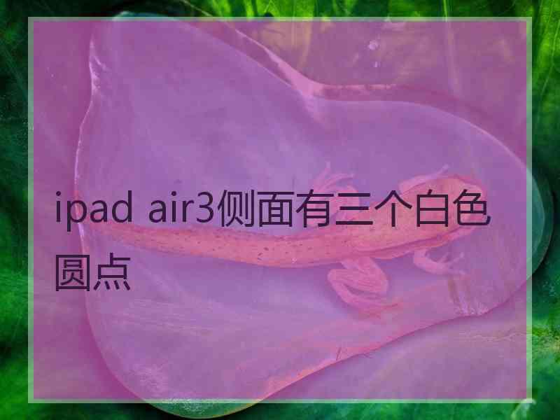 ipad air3侧面有三个白色圆点