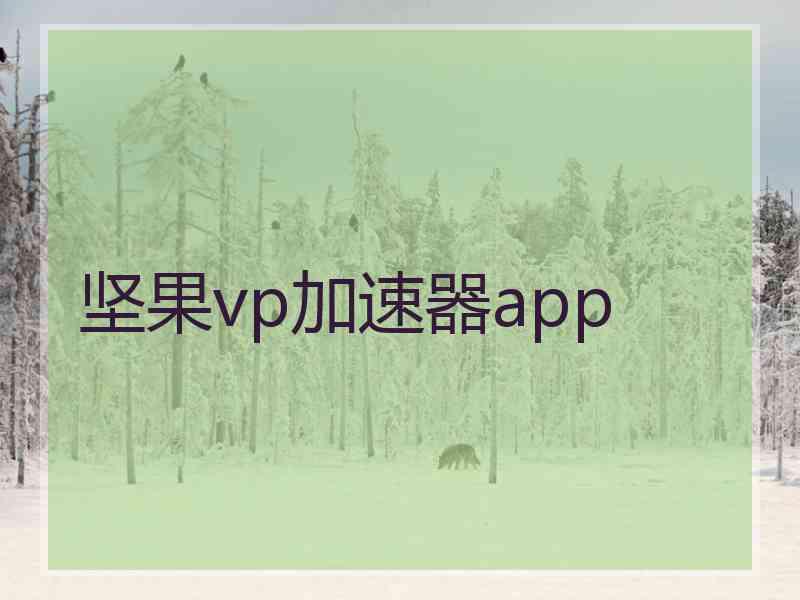 坚果vp加速器app