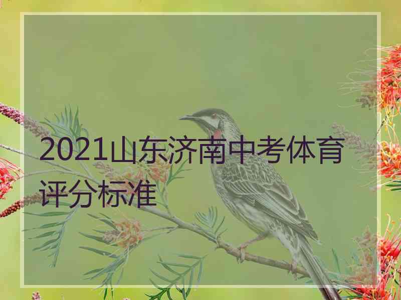 2021山东济南中考体育评分标准