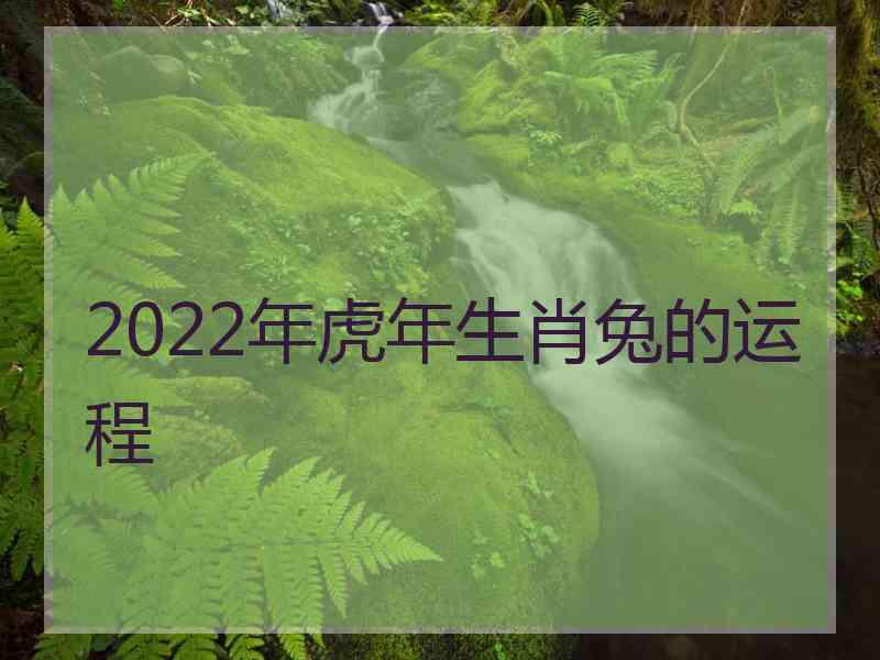 2022年虎年生肖兔的运程