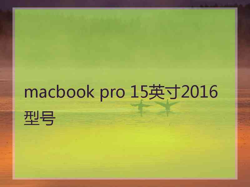 macbook pro 15英寸2016型号