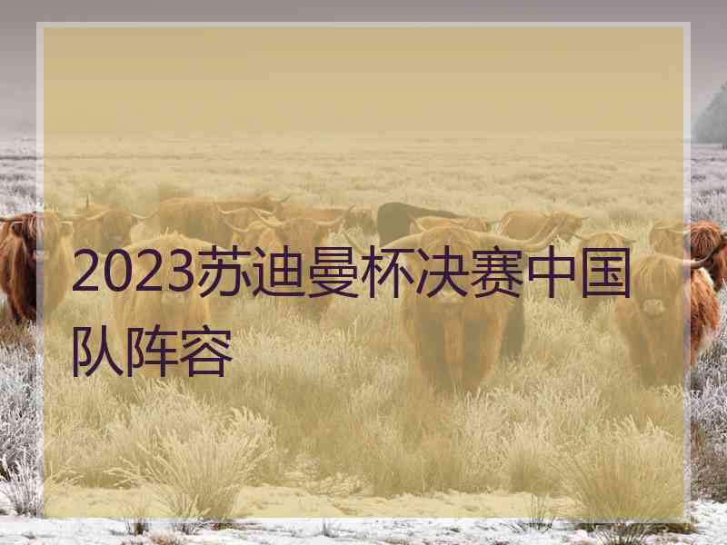 2023苏迪曼杯决赛中国队阵容