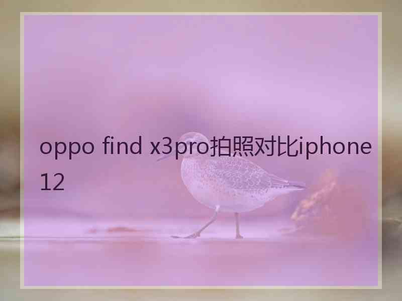 oppo find x3pro拍照对比iphone12