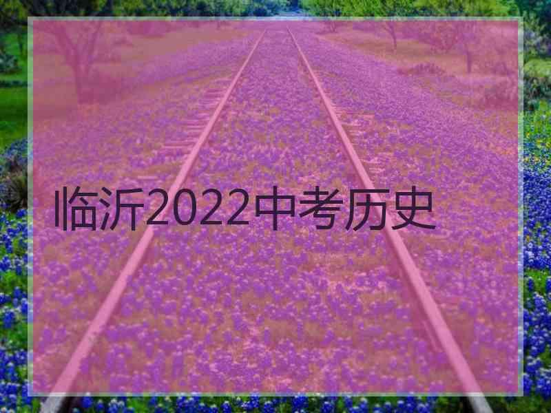 临沂2022中考历史