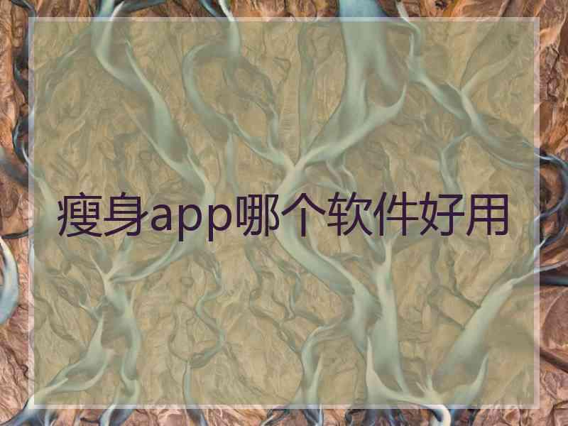 瘦身app哪个软件好用