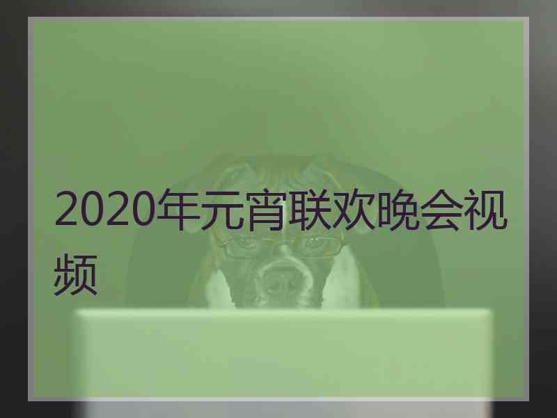 2020年元宵联欢晚会视频