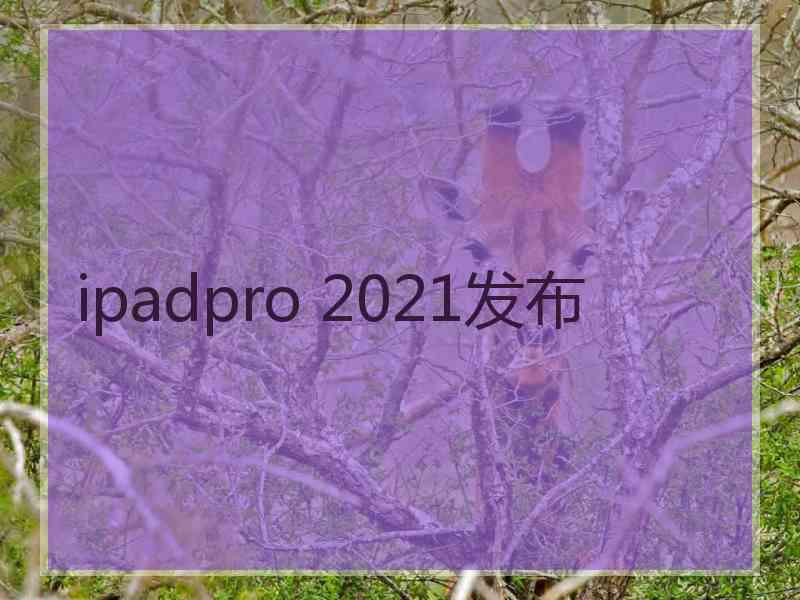 ipadpro 2021发布