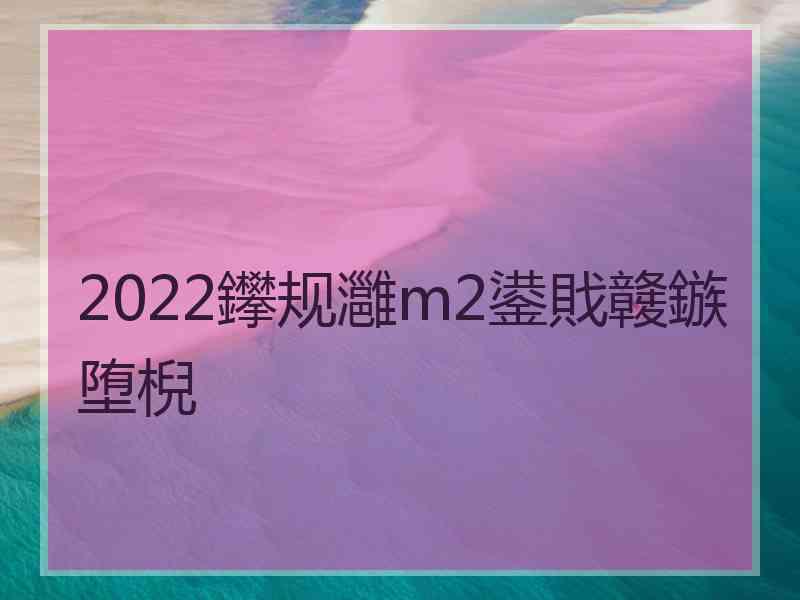 2022鑻规灉m2鍙戝竷鏃堕棿