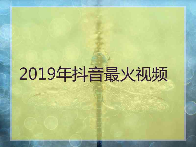 2019年抖音最火视频