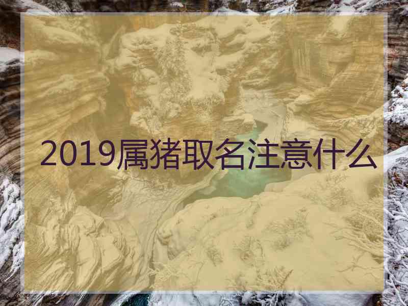 2019属猪取名注意什么