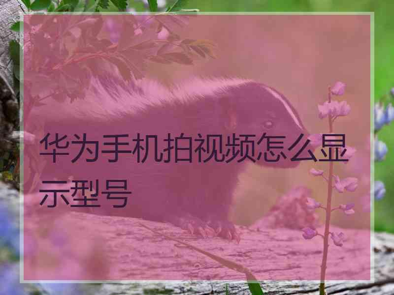 华为手机拍视频怎么显示型号