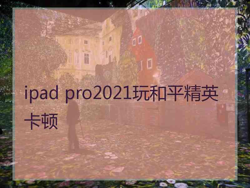 ipad pro2021玩和平精英卡顿