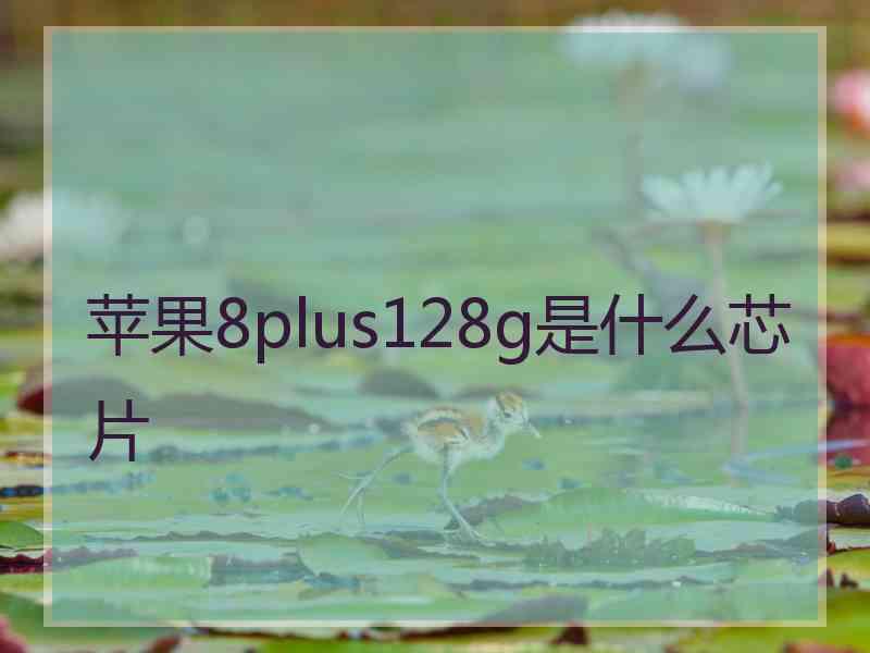 苹果8plus128g是什么芯片