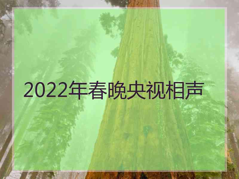 2022年春晚央视相声