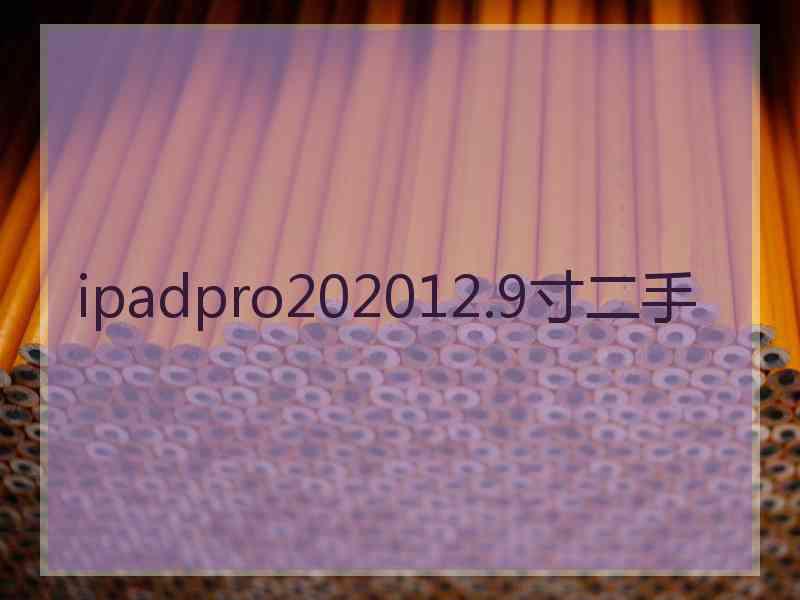 ipadpro202012.9寸二手