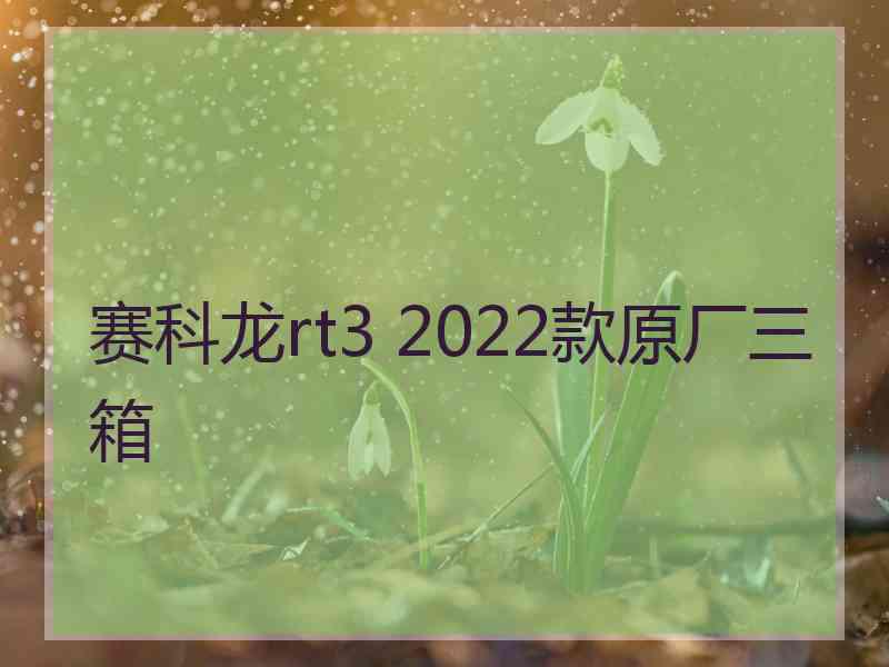 赛科龙rt3 2022款原厂三箱