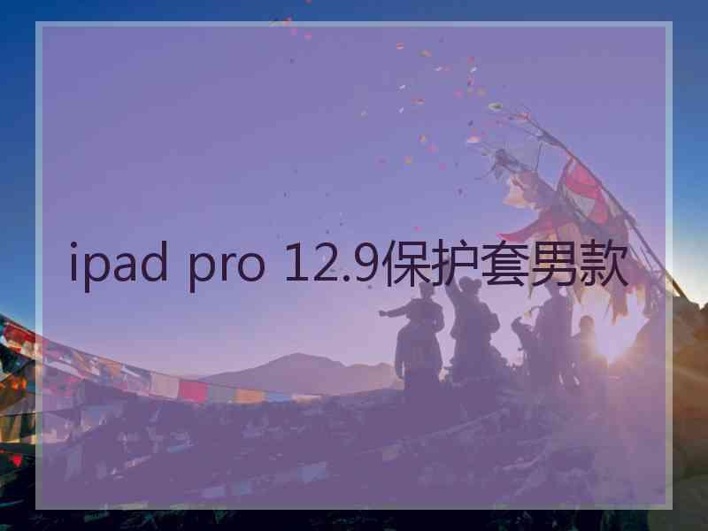 ipad pro 12.9保护套男款