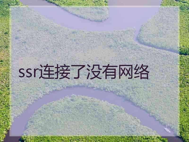 ssr连接了没有网络