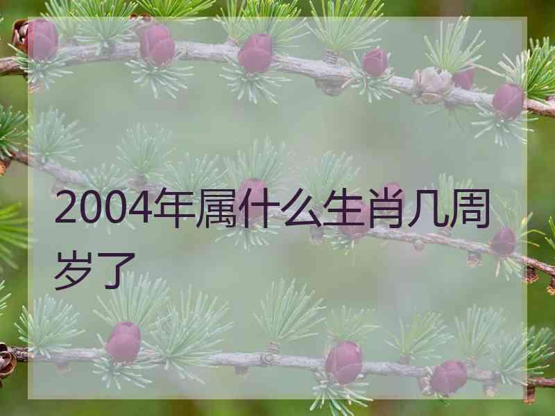 2004年属什么生肖几周岁了