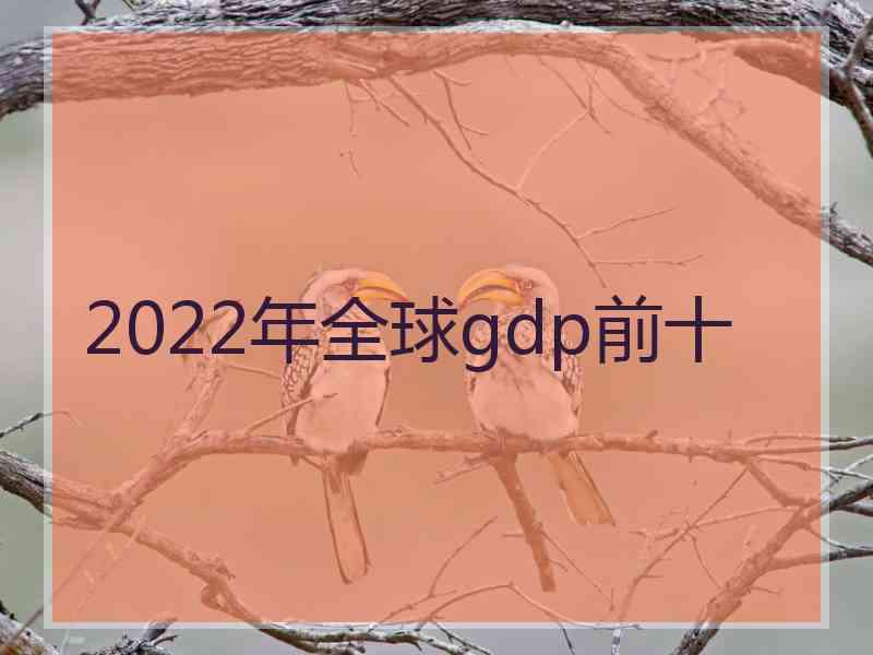 2022年全球gdp前十