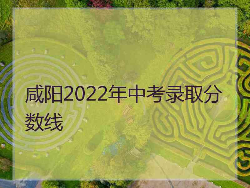 咸阳2022年中考录取分数线