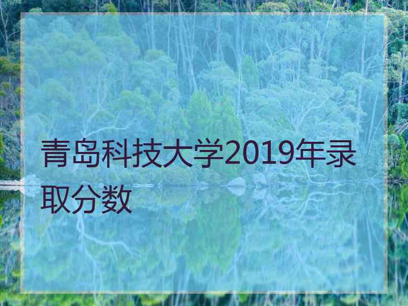 青岛科技大学2019年录取分数