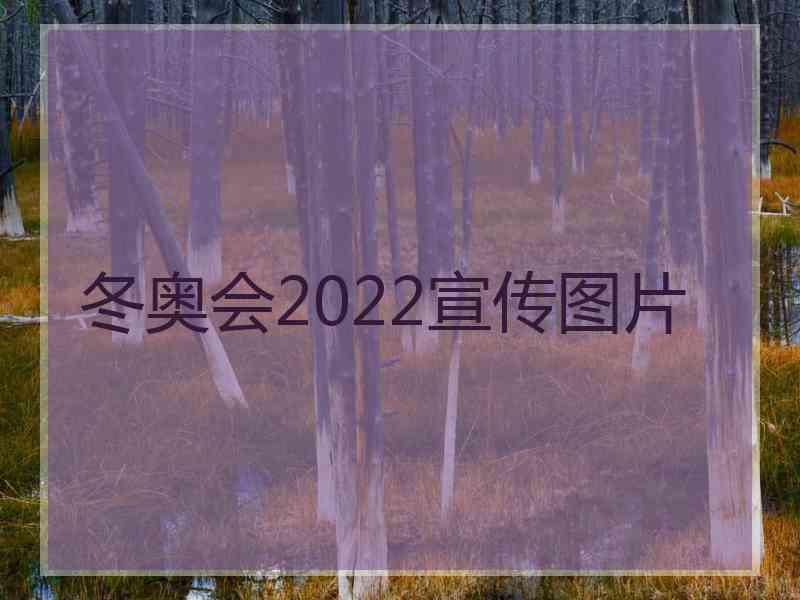 冬奥会2022宣传图片