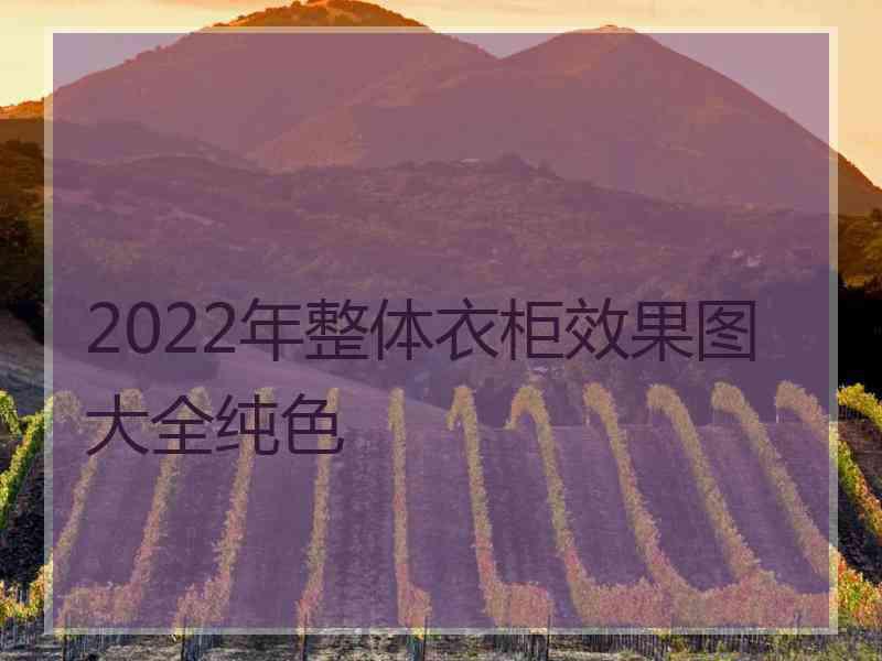 2022年整体衣柜效果图大全纯色